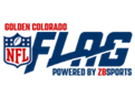 Golden NFL Flag - Powered by ZBSports
